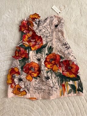 Anthropologie Pink Mini Dress with Red-Orange Floral Appliqués